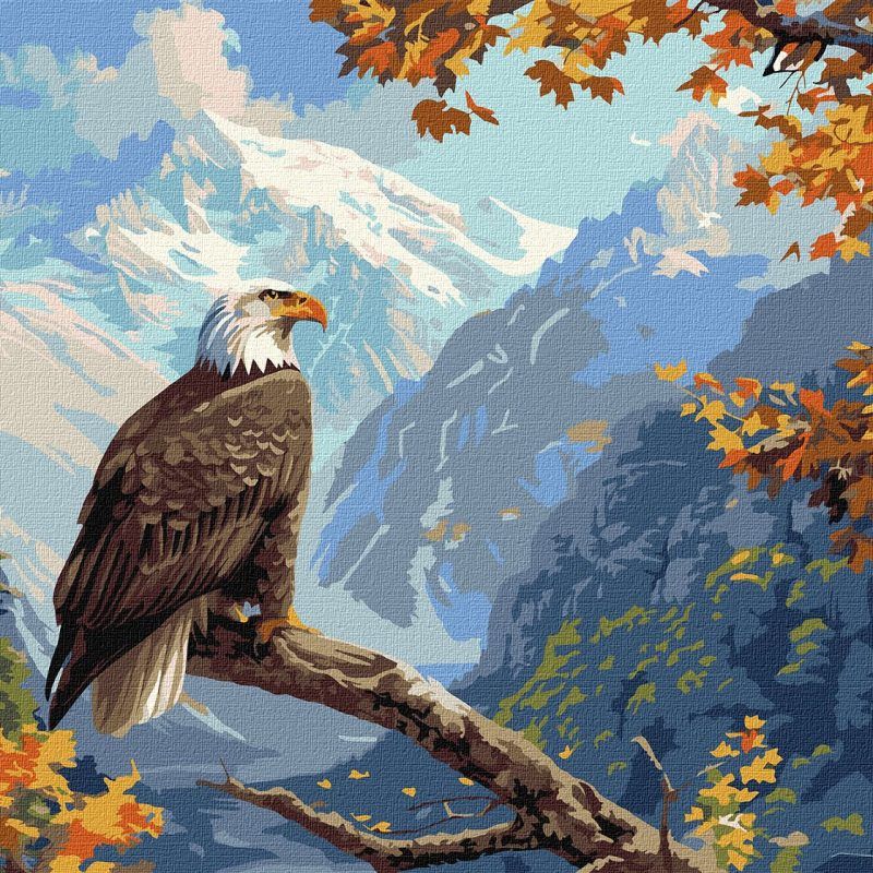 Picturi pe numere cu Animale - Vultur maiestos