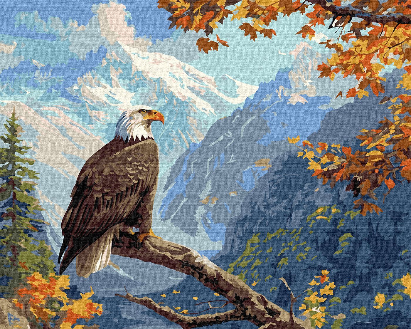 Picturi pe numere cu Animale - Vultur maiestos
