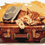 Picturi pe numere cu Animale - Gata de drum