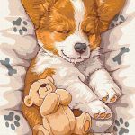 Picturi pe numere cu Animale - Corgi somnoros