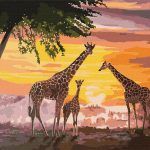 Picturi pe numere cu Animale - O familie de girafe