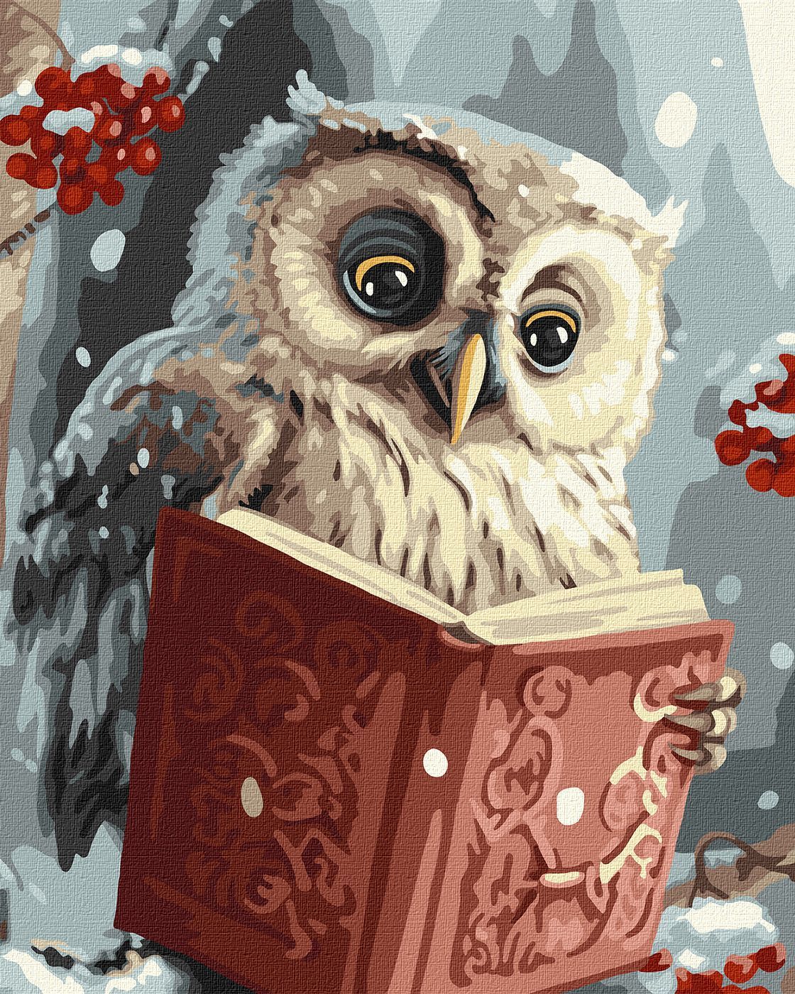 Picturi pe numere cu Păsări - Bufniță înțeleaptă