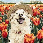 Picturi pe numere cu Animale - Labrador fericit