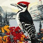 Picturi pe numere cu Păsări - Ciocănitoare pe ramură