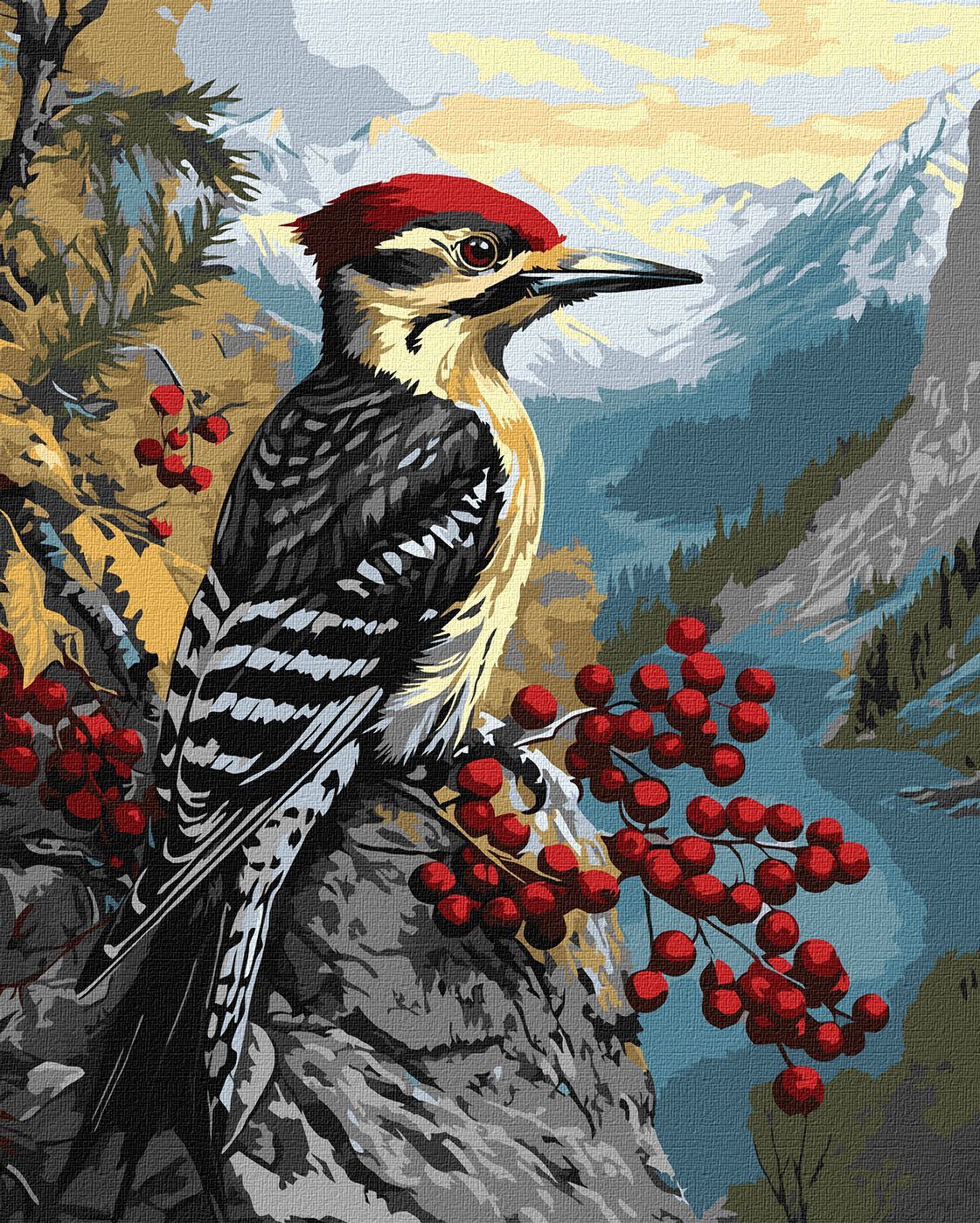 Picturi pe numere cu Păsări - Ciocănitoare pe vâsc