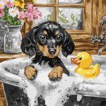 Picturi pe numere cu Câini - Ziua de baie