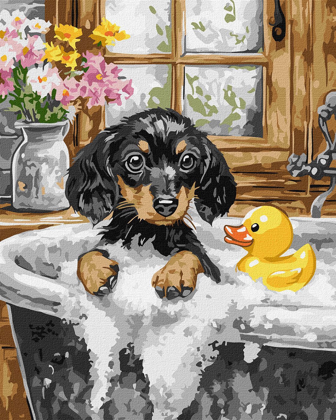 Picturi pe numere cu Câini - Ziua de baie