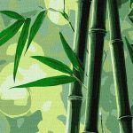 Picturi pe numere cu Peisaje - Bambus