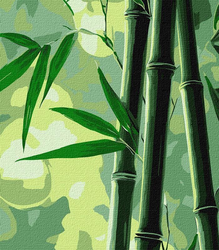 Picturi pe numere cu Peisaje - Bambus