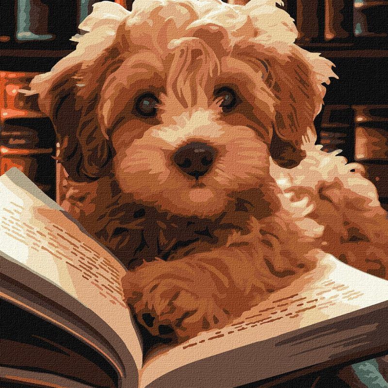 Picturi pe numere cu Animale - Cititor pufos