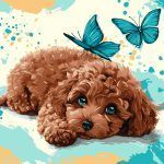 Picturi pe numere cu Animale - Poodle drăguț