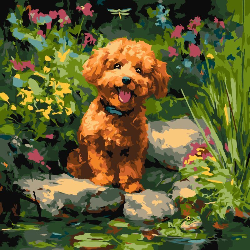 Picturi pe numere cu Animale - Poodle la baltă