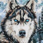 Picturi pe numere cu Animale - Ochii nordului