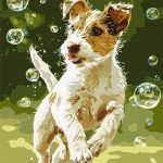 Picturi pe numere cu Animale - Prinde baloanele
