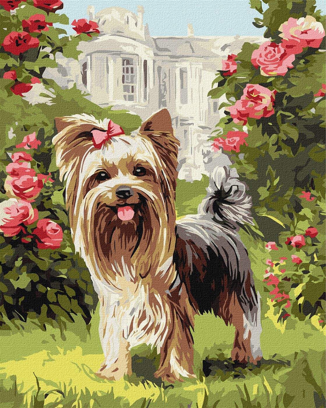 Picturi pe numere cu Animale - Yorkie in curte