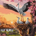 - Familie de berze